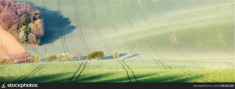 Panorama of trees over rolling hills and green fields