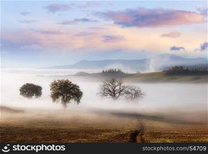 Panorama of Tuscanian farmland landscape. Tuscany, Italy, Europe.