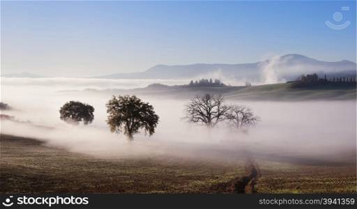 Panorama of Tuscany farmland landscape. Tuscany, Italy, Europe.