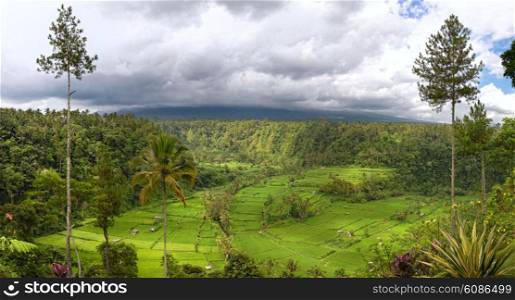panorama of valley with rice field terraces and view on mount Agung, Bali, Indonesia