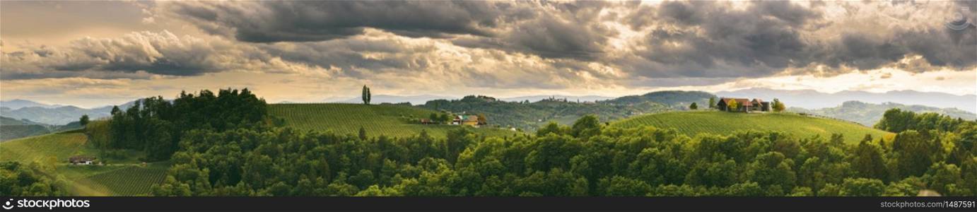 Panorama of vineyards hills in south Styria, Austria. Tuscany like place to visit. Landscape during summer sunset.. Panorama of vineyards hills in south Styria, Austria. Tuscany like place to visit.