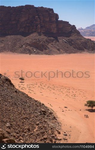 Panorama of Wadi Rum desert, Jordan