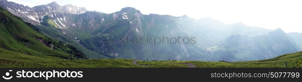 Panorama on mountain area and pasture in Lichtenstein
