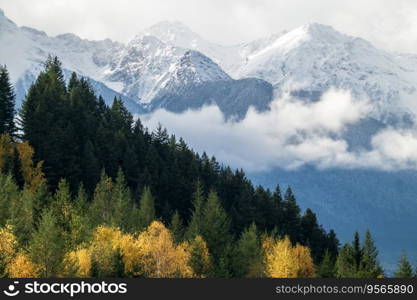 Panorama photo with mountain peaks and low hanging clouds with fall colors in Canadian Rockies