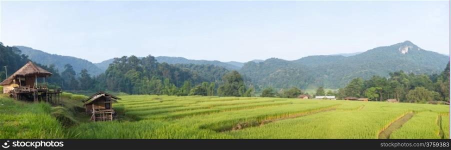 panorama rice field on mountain.House and fields in the agricultural areas in the mountains.