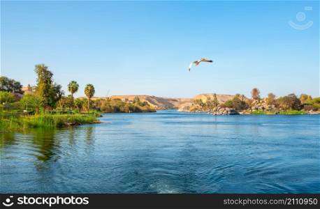 Panorama river Nile and boats at sunset in Aswan