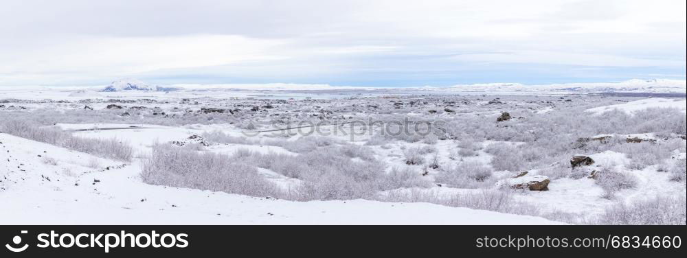 panorama shot of Winter landscape with snow covered trees at Dimmuborgir Lake Myvatn, Iceland