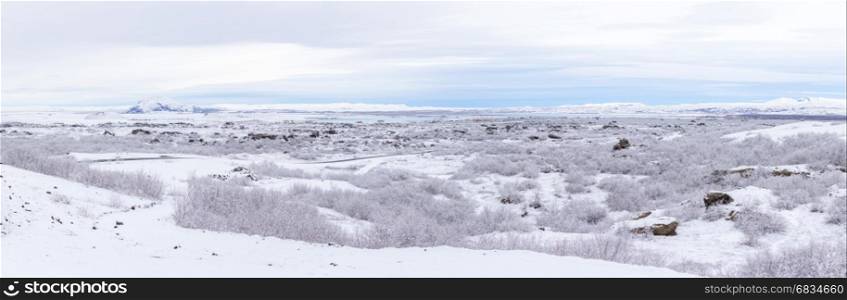 panorama shot of Winter landscape with snow covered trees at Dimmuborgir Lake Myvatn, Iceland