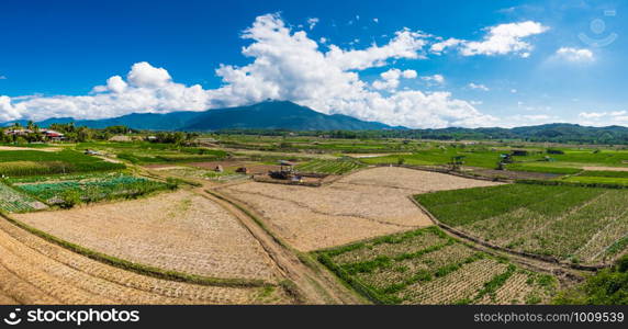 Panorama view of rice field in the north of Thailand with big mountain and cloudy blue sky background, selective focus.