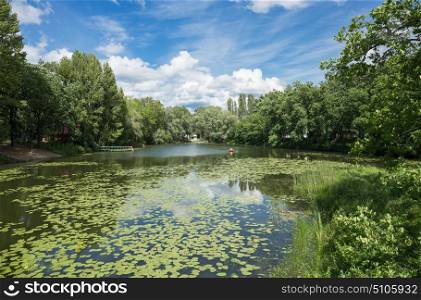 Panorama with a lake in the park