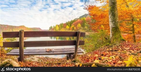Panorama with an old wooden bench on the shore of Alpsee lake, surrounded by the colorful autumn leaves and forest, in the Bavaria area, Germany.