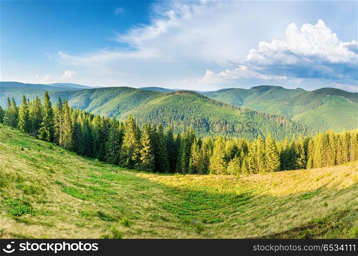 Panorama with green mountains. Panorama with green mountains, hills and forest