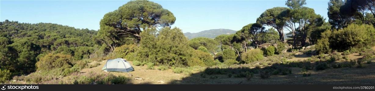 Panorama with tent and umbrella pine tree forest in Turkey