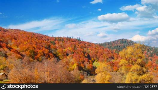 Panoramic autumn landscape valley mountain river.