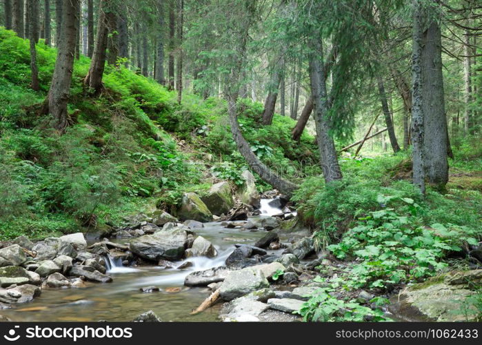 Panoramic beautiful deep forest waterfall