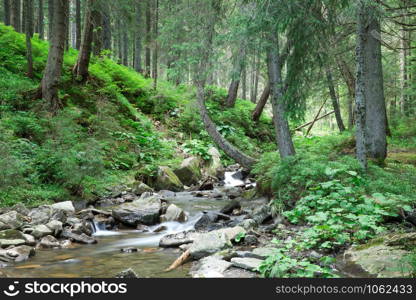 Panoramic beautiful deep forest waterfall