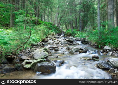 Panoramic beautiful deep forest waterfall