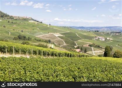 Panoramic countryside in Piedmont region, Italy. Scenic vineyard hill close to Barolo.