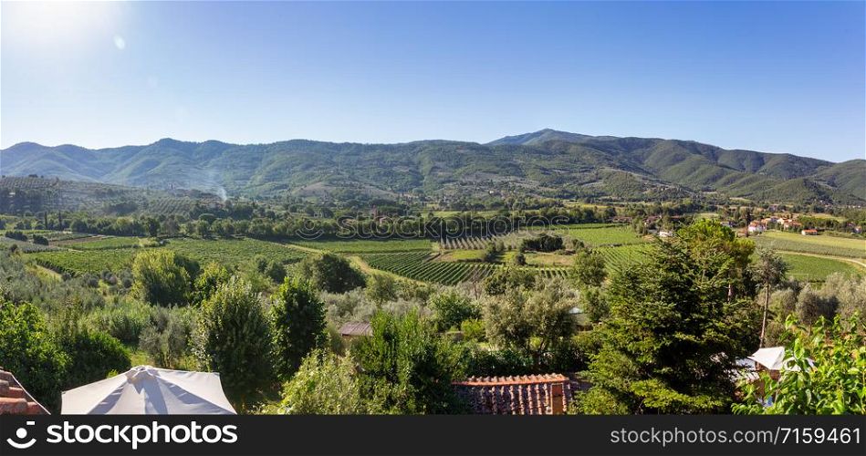 Panoramic early morning summer view of green rural hills in Tuscany, Italy