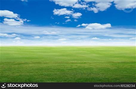 Panoramic field landscape. Panoramic field landscape. Summer background outdoor scene. Panoramic field landscape
