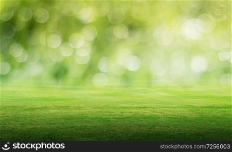 Panoramic field landscape. Summer background