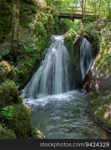 Panoramic image of a small creek cascading through a mystic valley, Eifel area, Rhineland-Palatinate, Germany