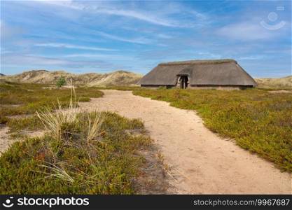 Panoramic image of a traditional house within the dunes of Amrum against blue sky, North Sea, Germany