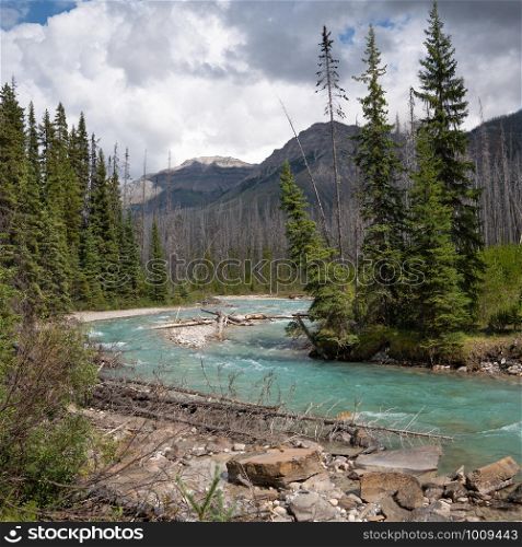 Panoramic image of a tranquil river scenery within the Kootenay National Park, British Columbia, Canada