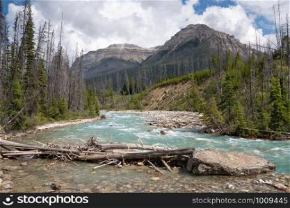 Panoramic image of a tranquil river scenery within the Kootenay National Park, British Columbia, Canada