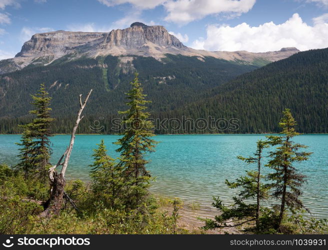 Panoramic image of Emerald Lake, beautiful landscape of Yoho National Park, British Columbia, Canada