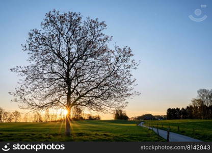 Panoramic image of scenic view on a colorful morning, Bergisches Land, Odenthal, Germany