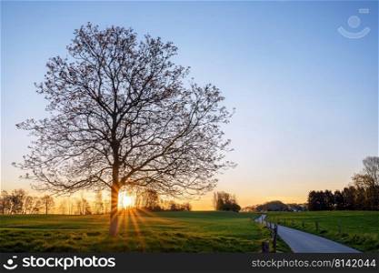 Panoramic image of scenic view on a colorful morning, Bergisches Land, Odenthal, Germany