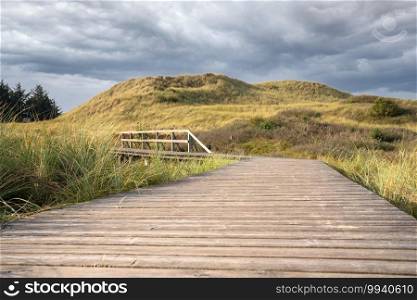 Panoramic image of the coastal landscape of Amrum, North Sea, Germany