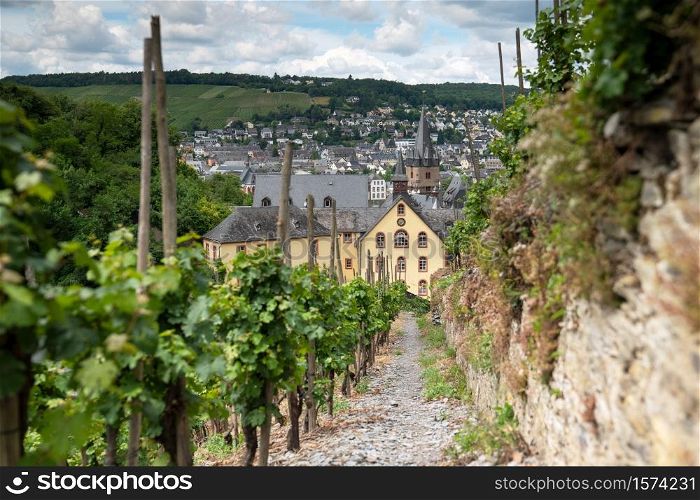Panoramic image of the hiking trail Moselsteig through a vinyard with the cityscape of Bernkastel in the background, Germany