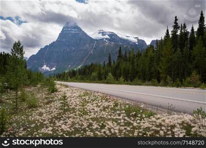 Panoramic image of the Icefield Parkway, Banff National Park, Alberta, Canada