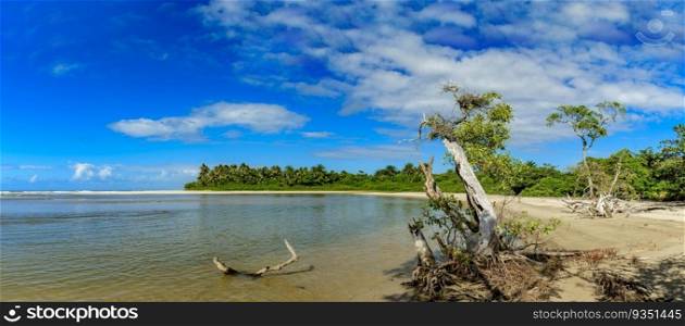 Panoramic image of the meeting of the mangrove and its vegetation with the sea at Sargi beach in Serra Grande coast of the state of Bahia. Image of the meeting of the mangrove with the sea at Sargi beach