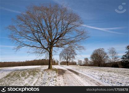 Panoramic image of the snow covered landscape close to Lindlar on a winter day, Bergisches Land, Germany