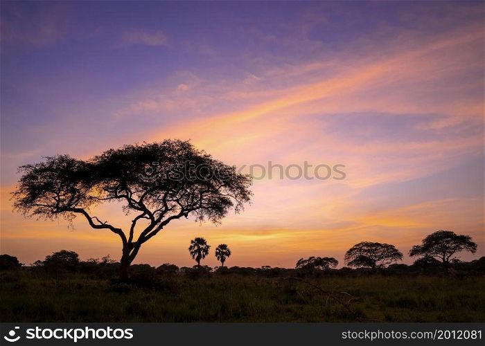 Panoramic image, sunrise at Murchison Falls National Park, Uganda