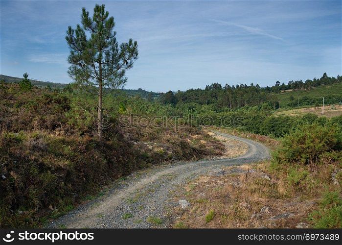 Panoramic landscape along the Camino de Santiago trail between Lugo and Melide, Galicia, Spain