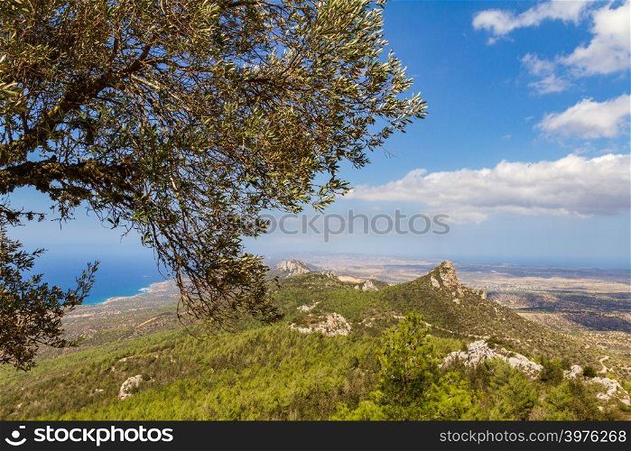 Panoramic landscape and sea view from Pentadaktylos mountains, Kantara area, island of Cyprus, behind the branches of an olive tree