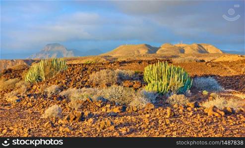 Panoramic landscape with desert and mountains at sundown inTenerife Island, Canary, Spain