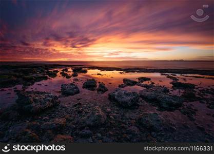 Panoramic landscape with rocky coast at sunset at San Ignacio Lagoon, Baja California, Mexico