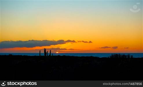 Panoramic landscape with The Atlantic Ocean, silhouette of the coast with cactus and colorful sky at sunset. Background with space for your own text. Tenerife, Canary Islands