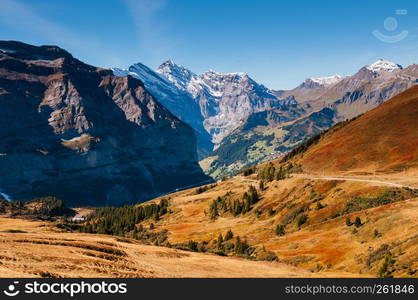 Panoramic scenery of Swiss alps mountain rage deep valley view from Eigergletscher, Jungfrau region - Switzerland