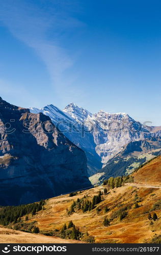 Panoramic scenery of Swiss alps mountain rage deep valley view from Eigergletscher, Jungfrau region - Switzerland