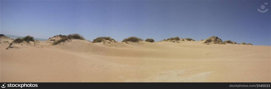 Panoramic view. Australian Sand Dune Landscape.