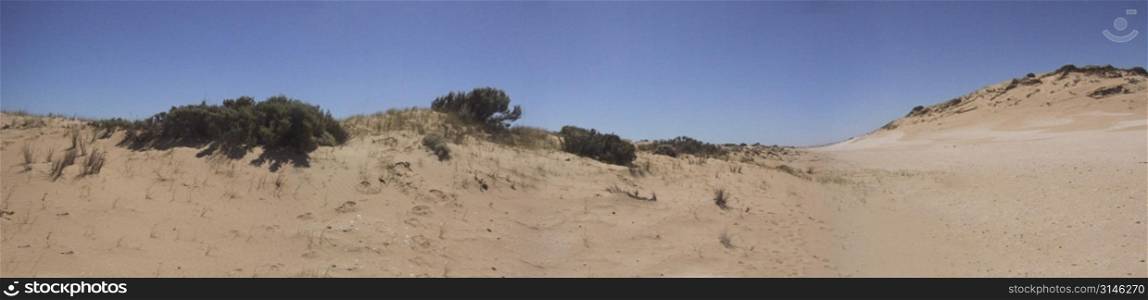 Panoramic view. Australian Sand Dune Landscape.