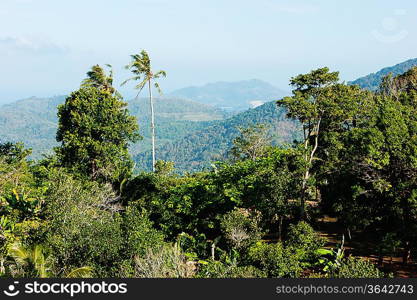 panoramic view from the hill Big Buddha in Phuket Thailand