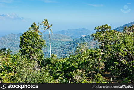 panoramic view from the hill Big Buddha in Phuket Thailand