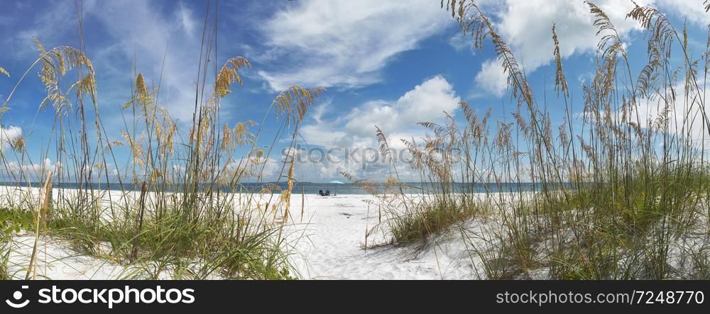 Panoramic view looking through reeds of sunloungers and umbrella on a beach